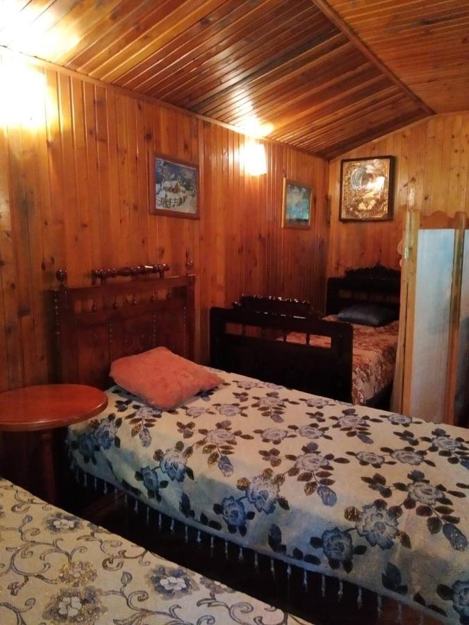 Domik S Saunoy Na Ogiyenko Διαμέρισμα Kamianets-Podilskyi Εξωτερικό φωτογραφία
