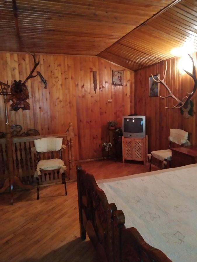 Domik S Saunoy Na Ogiyenko Διαμέρισμα Kamianets-Podilskyi Εξωτερικό φωτογραφία