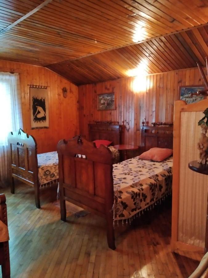 Domik S Saunoy Na Ogiyenko Διαμέρισμα Kamianets-Podilskyi Εξωτερικό φωτογραφία