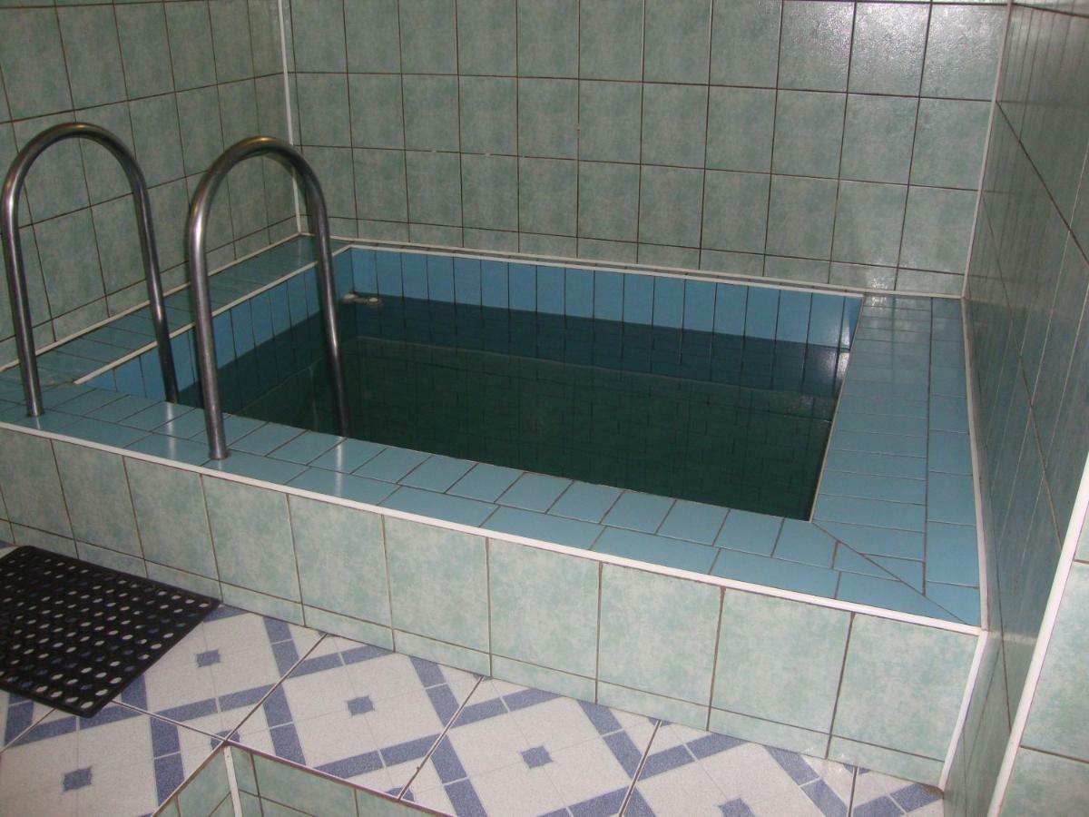 Domik S Saunoy Na Ogiyenko Διαμέρισμα Kamianets-Podilskyi Εξωτερικό φωτογραφία